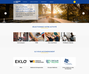 Project website